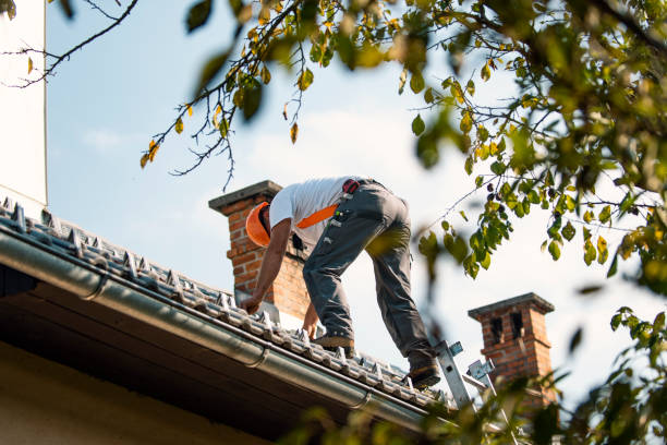 Best Roof Waterproofing Services  in Ogden, KS