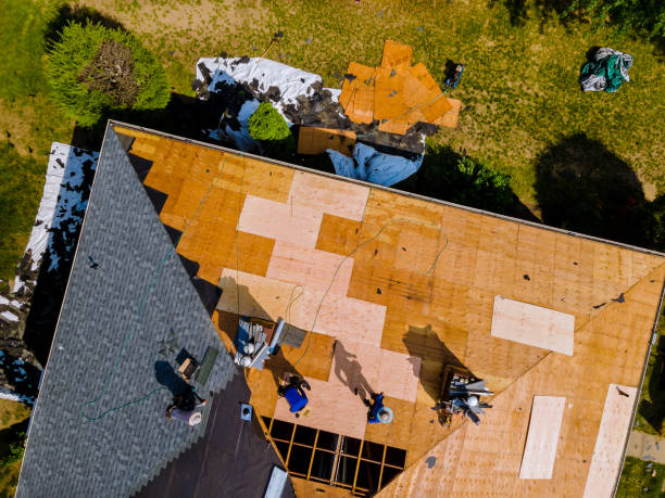 Best Storm Damage Roof Repair  in Ogden, KS