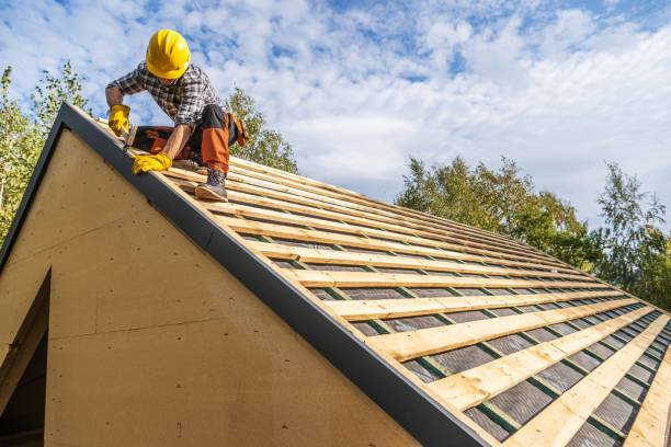 Best Roof Repair Services  in Ogden, KS